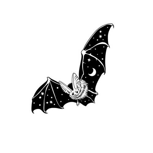 Pipistrello stellato