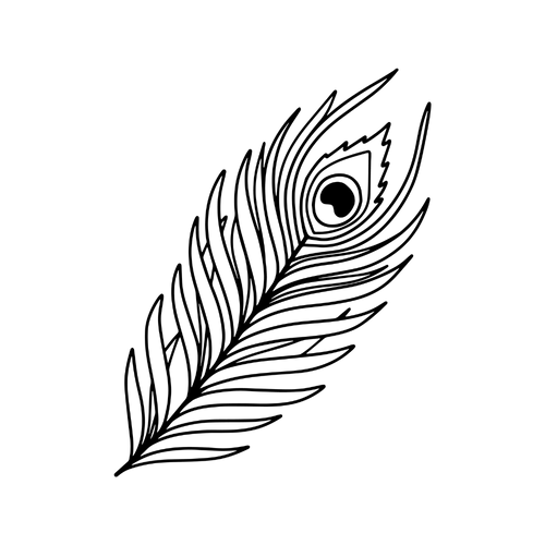 Piuma di pavone