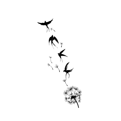 Il respiro della rondine