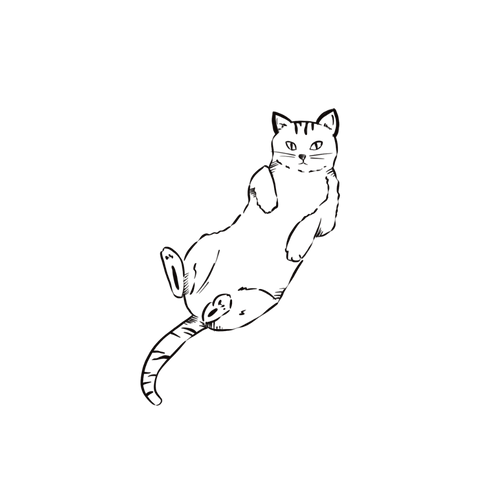 Gatto minimalista