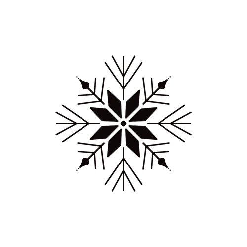 Fiocco di neve