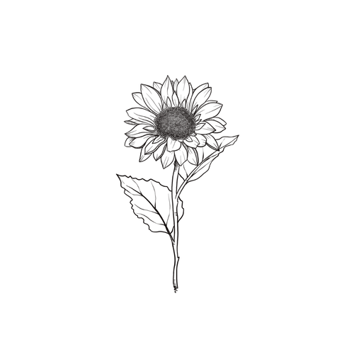 Tatuaggio Girasole