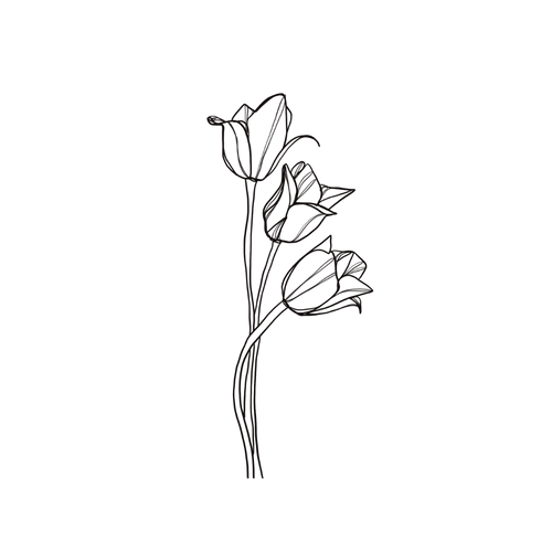 Tatuaggio Tulipano