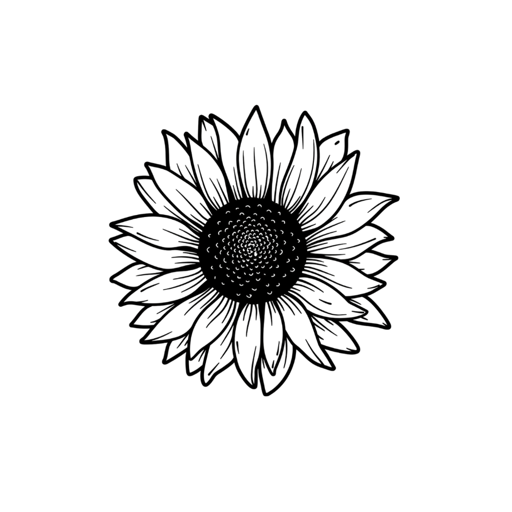Girasole minimalista