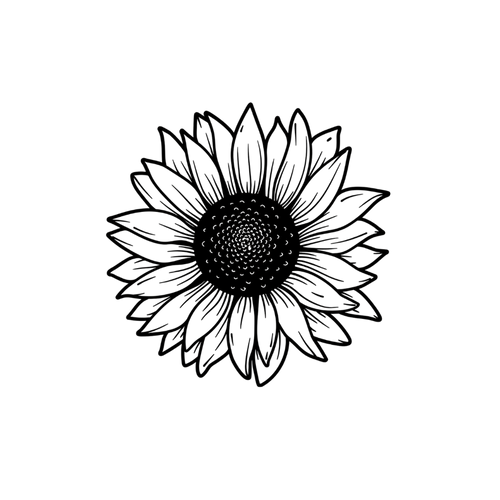 Girasole minimalista