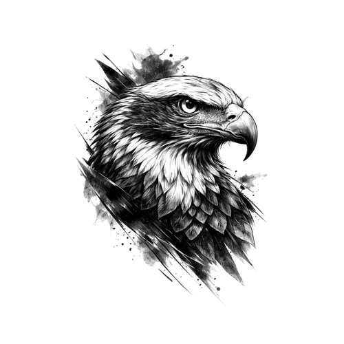 Aquila nera