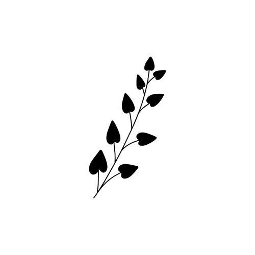 Ramo d'ombra