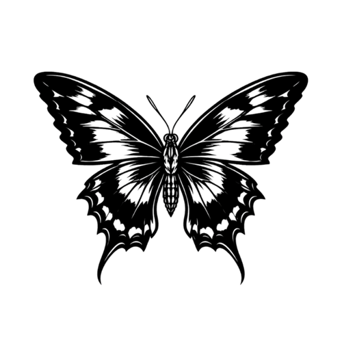 Farfalla nera