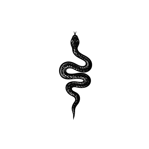 Mini serpente