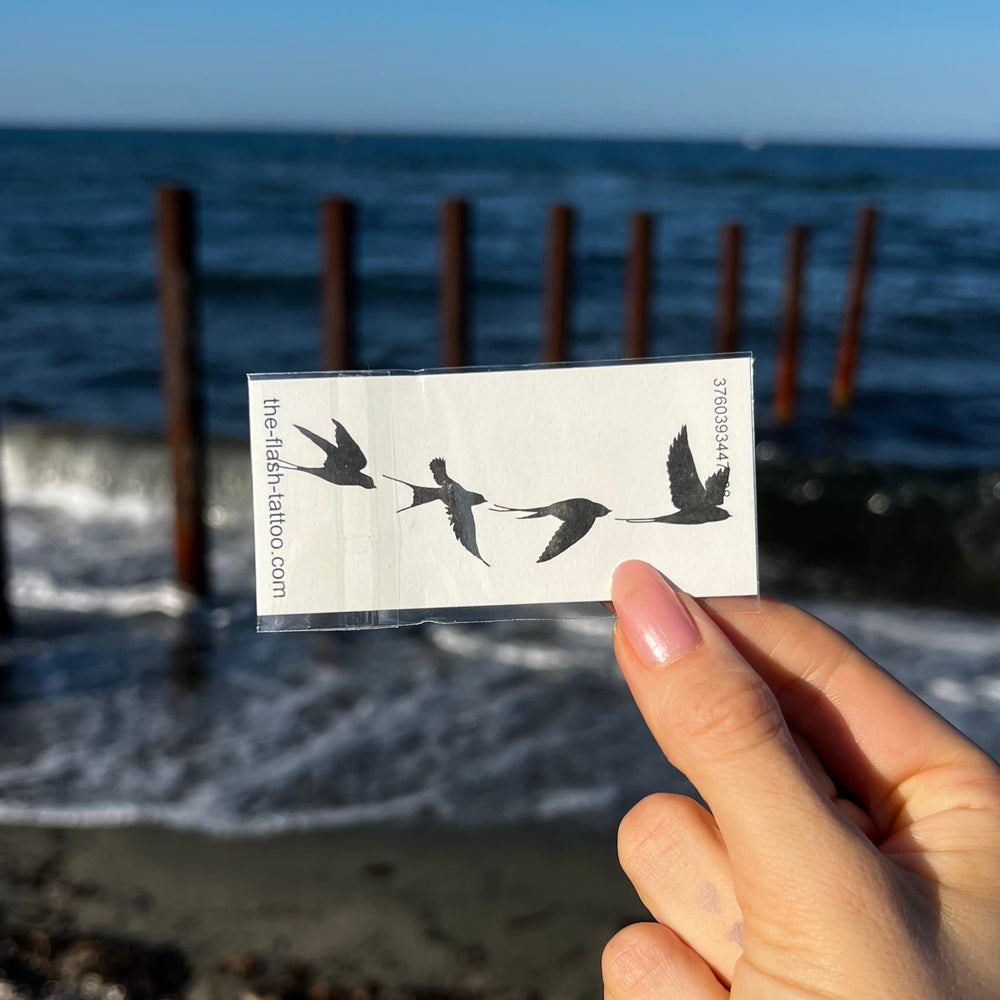 Rondini in volo