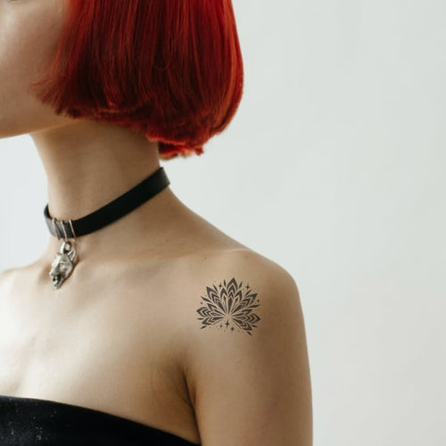 Stella di loto