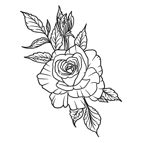 Rosa eterna